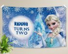 Frozen Theme Backdrop Online Sale