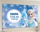 Frozen Theme Backdrop Online Sale